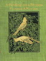 NYSL Decorative Cover: A-birding on a bronco