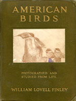 NYSL Decorative Cover: American birds