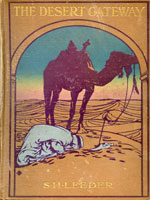 NYSL Decorative Cover: Desert gateway