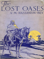 NYSL Decorative Cover: Lost oases