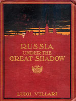 NYSL Decorative Cover: Russia under the great shadow
