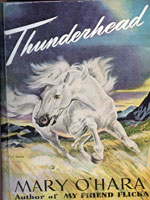 NYSL Decorative Cover: Thunderhead