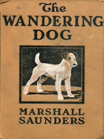 NYSL Decorative Cover: Wandering dog